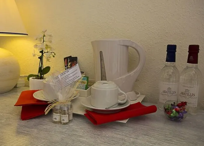 Hotel Le Dauphin Arcachon